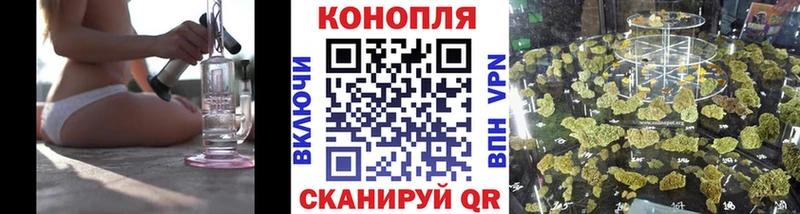 где можно купить   Туймазы  МАРИХУАНА планчик 